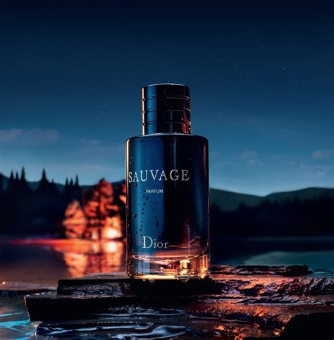 valor do perfume sauvage dior no brasil 2019|christian dior fragrance eau sauvage.